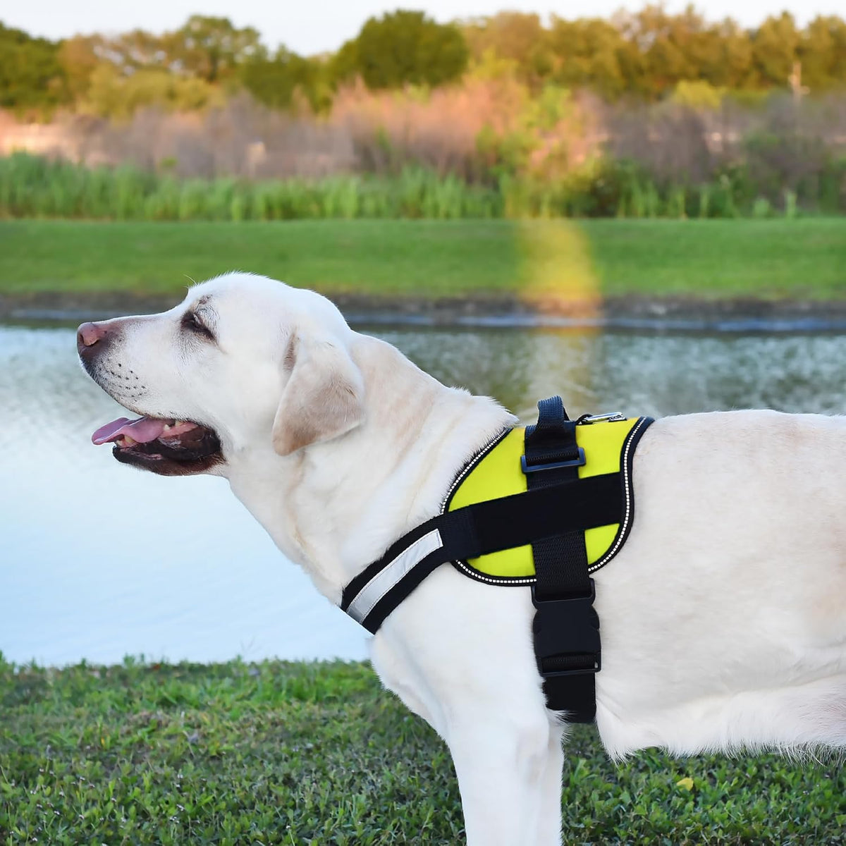 Dogline Dog Harness, Reflective No-Pull Adjustable Vest with Handle for Walking, Training
