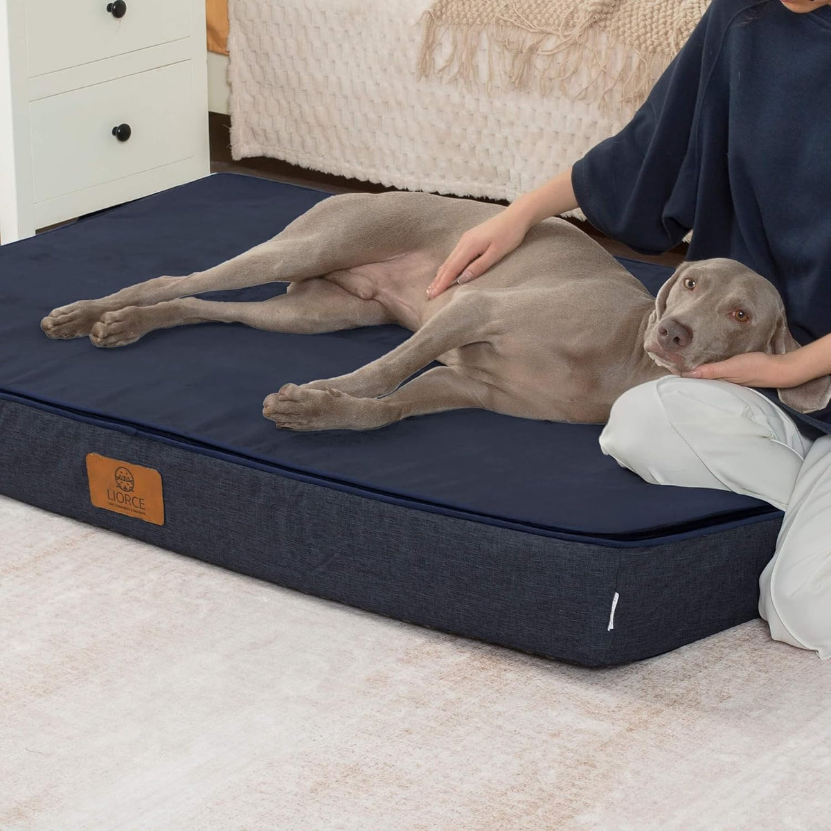 Orthopedic Memory Foam Giant Dog Bed - 6" Thick Beds for Large Sized Dog - Waterproof Removable