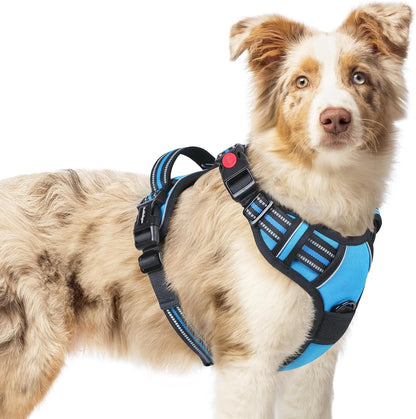 rabbitgoo Dog Harness Medium Sized, No Pull Pet Harness with 3 Buckles, Adjustable Soft Padded Vest