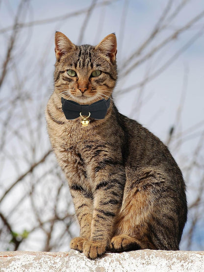 2 Pack Soft Corduroy Cat Collars with Bow Tie & Bell, Adjustable Breakaway Cotton Kitty Bowtie