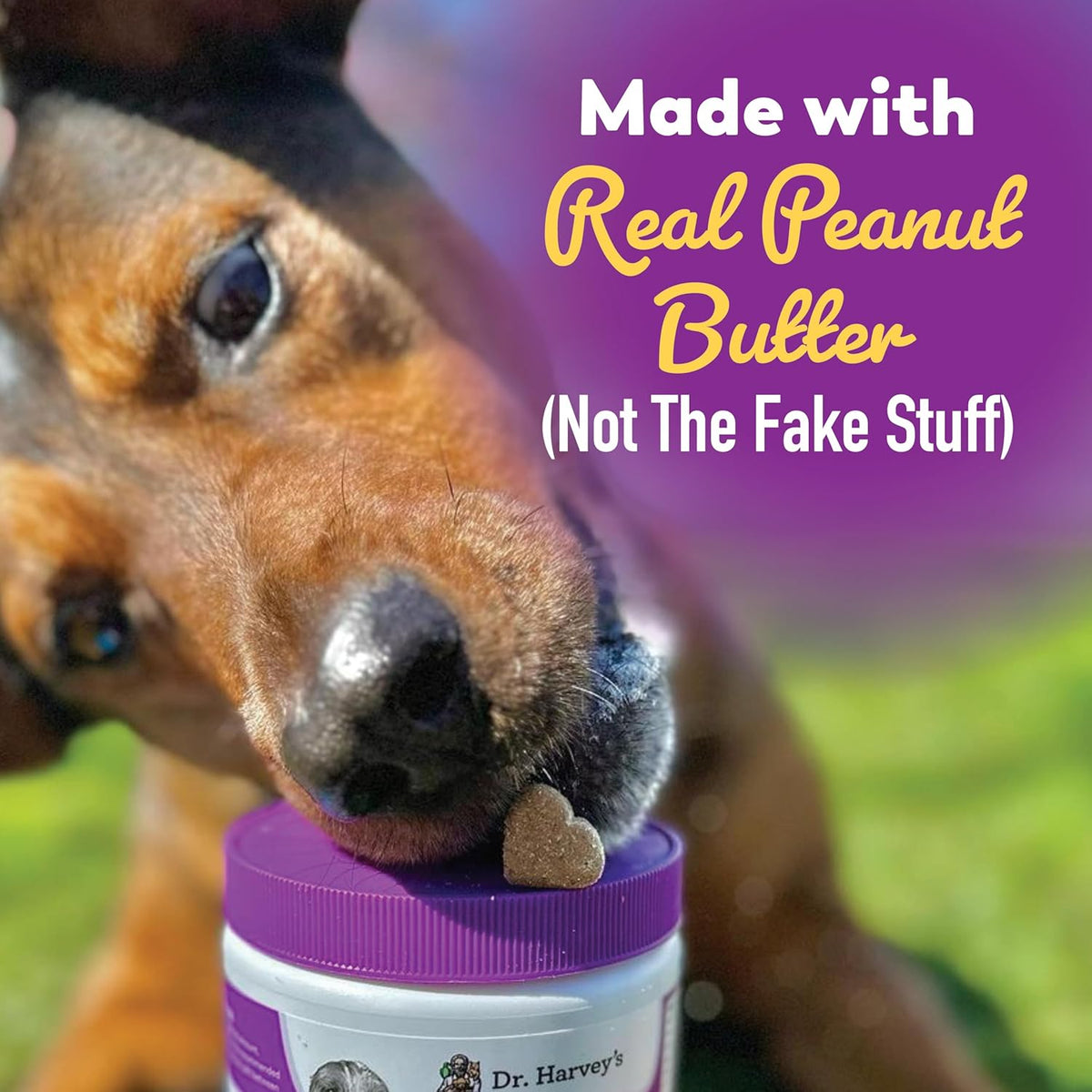 Dr. Harvey's Digestive Probiotic Soft Chews for Dogs, 7 Probiotics for Gut Health, Diarrhea and
