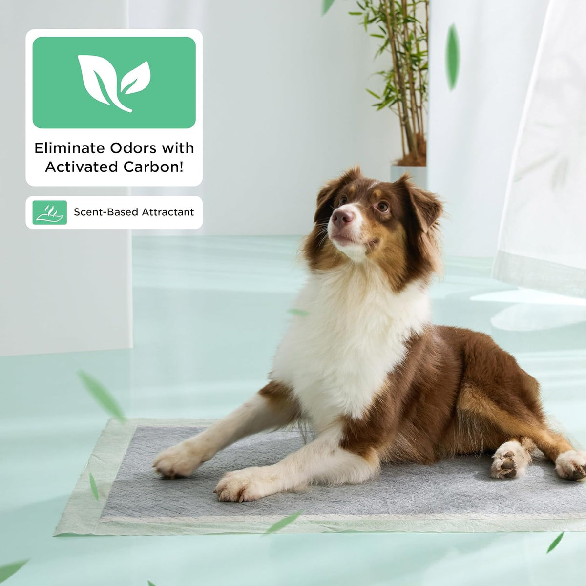 Bedsure Pee Pads for Dogs, 22" x 22" Puppy Pads 100 Count, Super Absorbent & Leak Proof, Small Dog