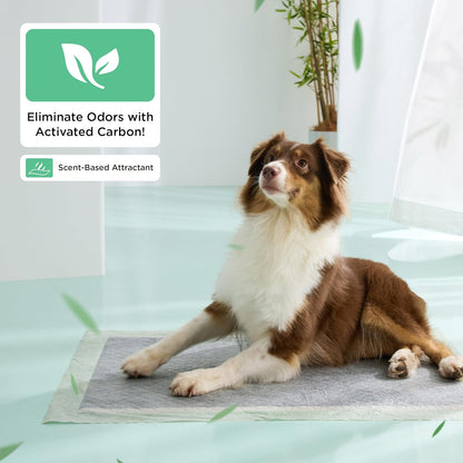 Bedsure Pee Pads for Dogs, 22" x 22" Puppy Pads 100 Count, Super Absorbent & Leak Proof, Small Dog