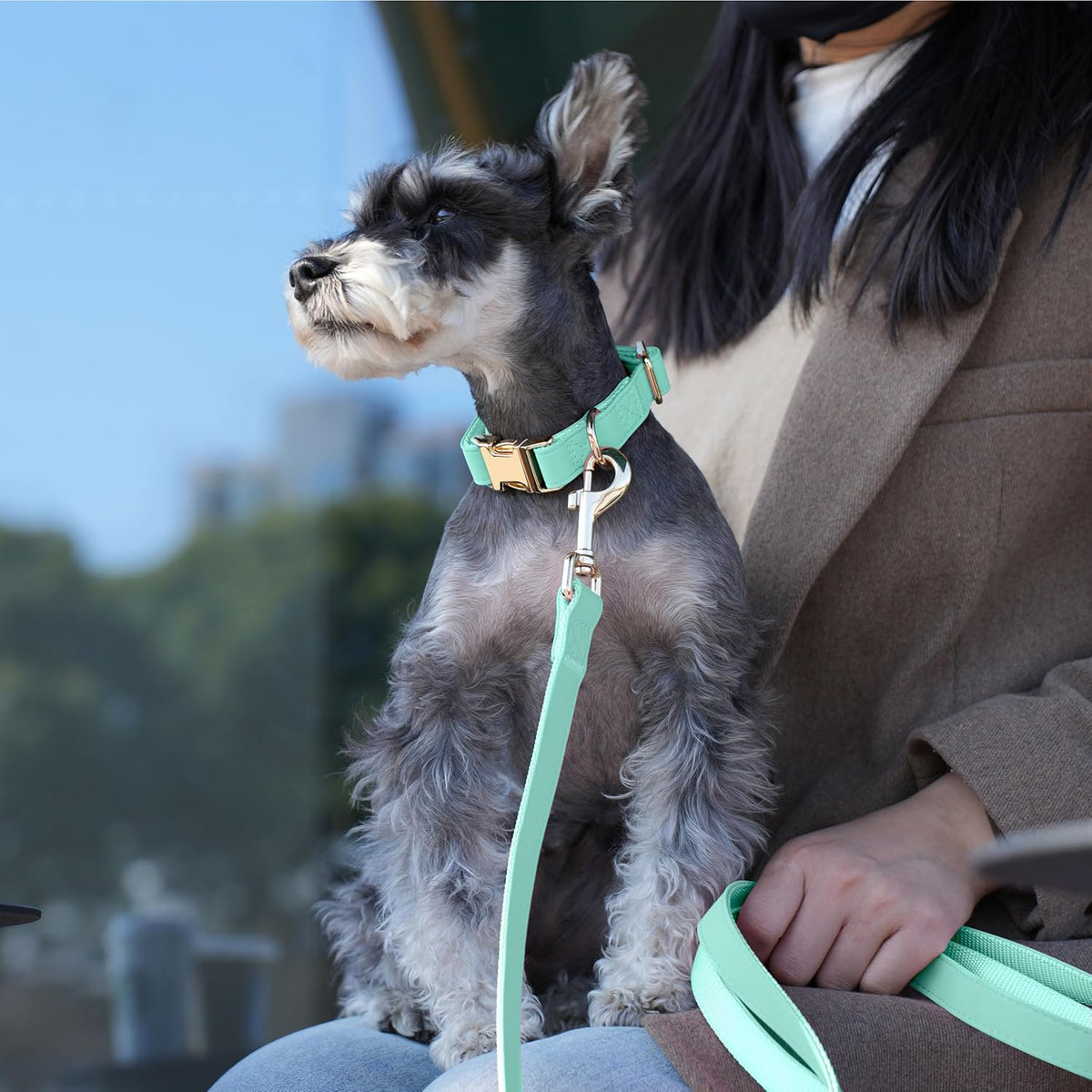 PET ARTIST Soft PU Leather Dog Collar, Bright Color & Durable Dog Collar Leather with Rose Gold
