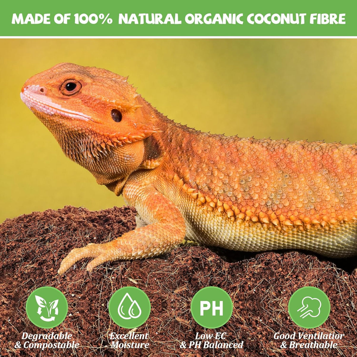 Riare 10LBS Natural Coconut Fiber Substrate for Reptile- Premium Compressed Coconut Husk Terrarium