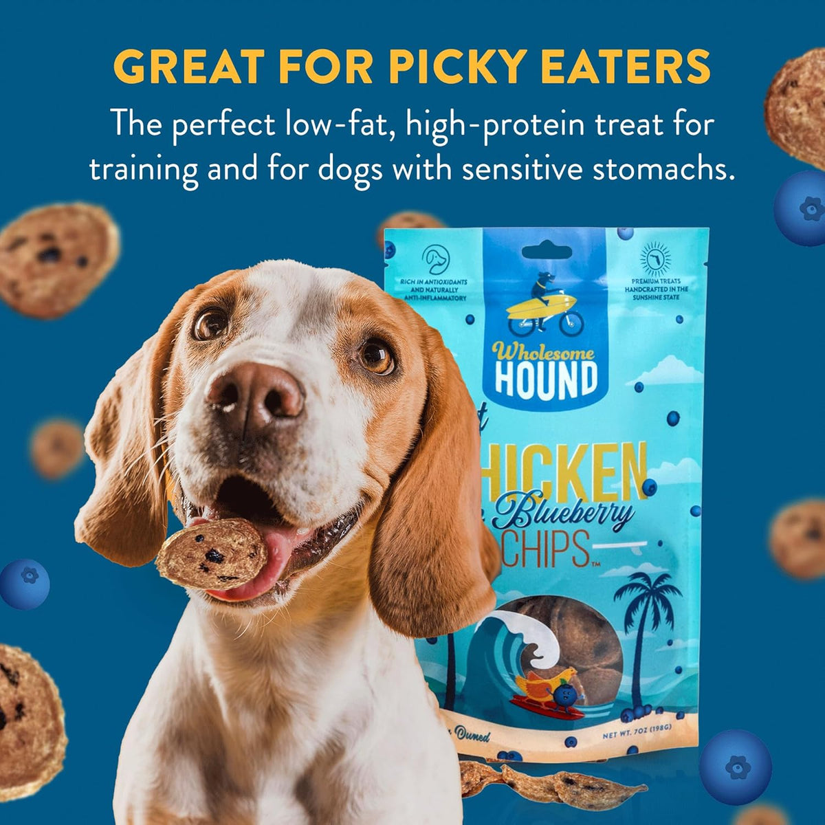 Chicken & Blueberry Chips – 2 Simple Ingredient Dog Treats, All Natural & Healthy Training Snacks