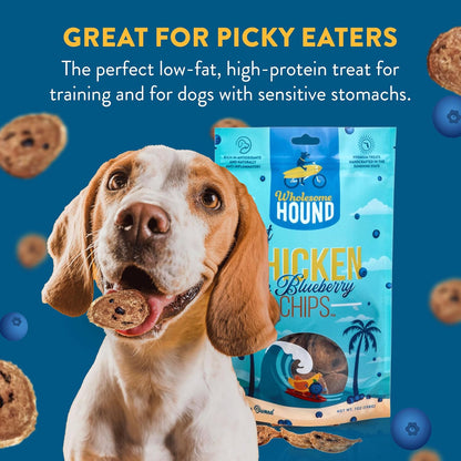 Chicken & Blueberry Chips – 2 Simple Ingredient Dog Treats, All Natural & Healthy Training Snacks