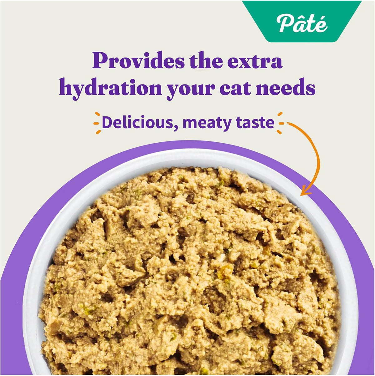 Halo Wet Cat Food Turkey & Duck Recipe, Grain Free Wet Cat Pate, Canned Cat Food for Extra