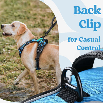 rabbitgoo Dog Harness for Large, No Pull Pet Harness with 3 Buckles, Adjustable Soft Padded Vest