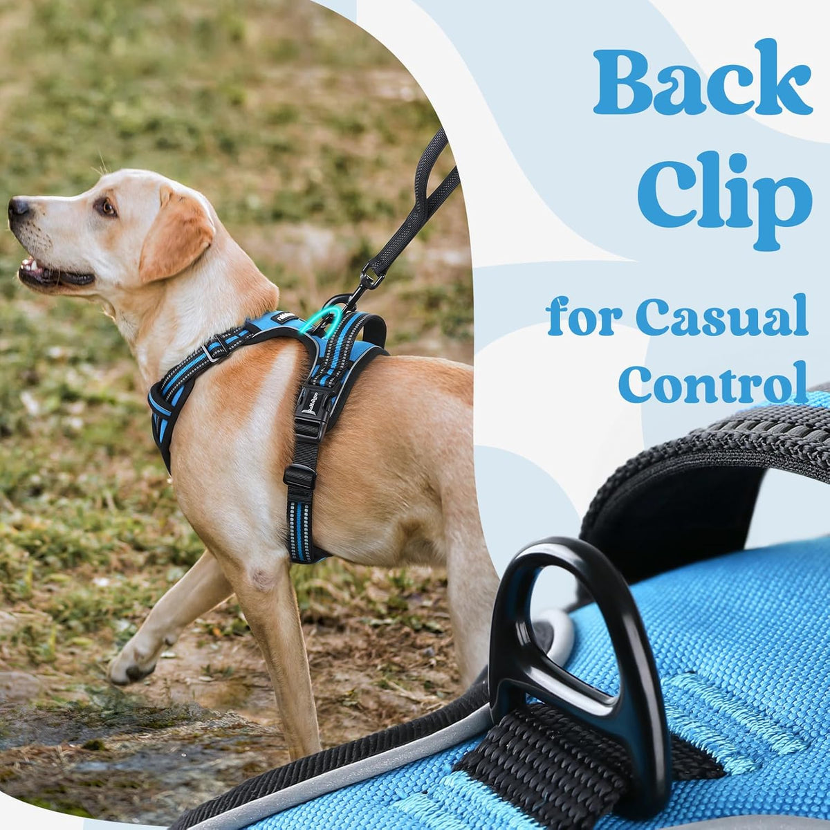 rabbitgoo Dog Harness Small Sized, No Pull Pet Harness with 3 Buckles, Adjustable Soft Padded Vest