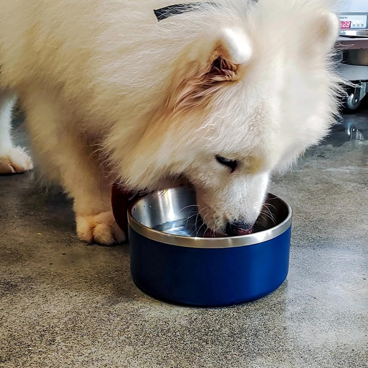 Stainless Steel Dog Bowl, Metal Water and Food Dish for Large Dogs, Insulated Non-Slip Pet Bowl