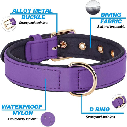 Didog Soft Padded Dog Collars for Small Dogs, Lightweight and Breathable Dog Collar with Metal