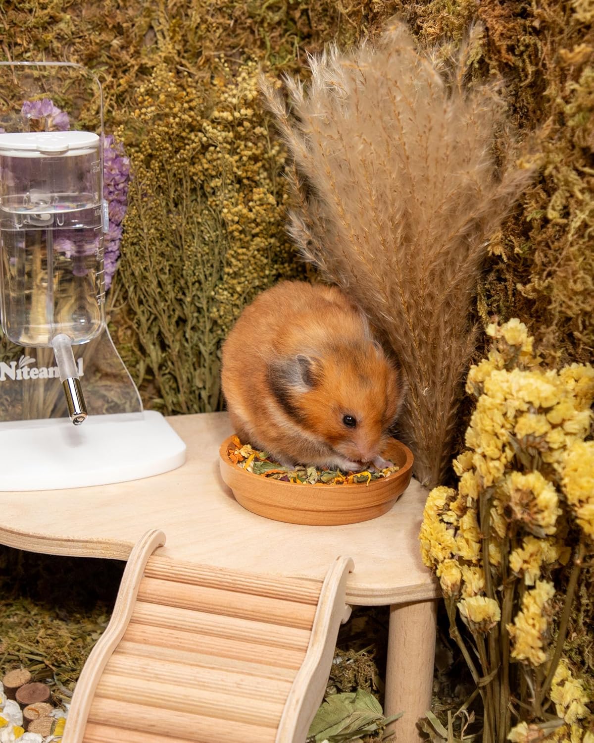 Niteangel Hamster Food & Treats Toy - Small Animal Natural Food for Syrian Golden Hamsters or Other