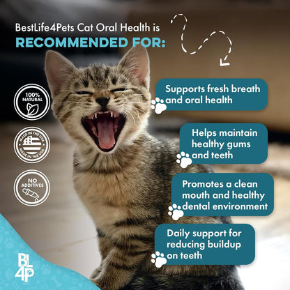 Cat Bad Breath & Oral Health Remedy, Natural Dental Care Cats Teeth, Mouth and Gums, Easy to Use