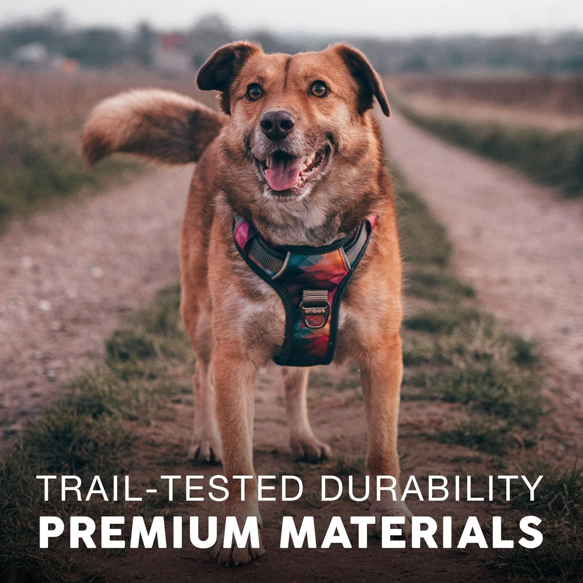 Embark Adventure Dog Harness, Reflective Trim XL for Extra Large Dogs No Pull - Military Grade