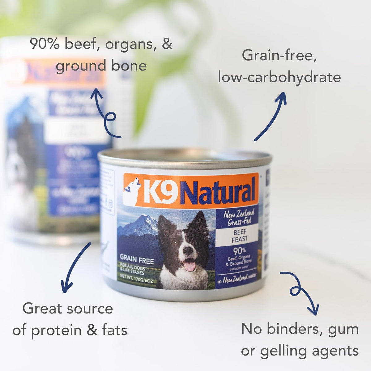 K9 Natural Wet Dog Food Pate, Beef Feast, 6 Oz Cans (Pack of 12), Grain Free, Made in New Zealand