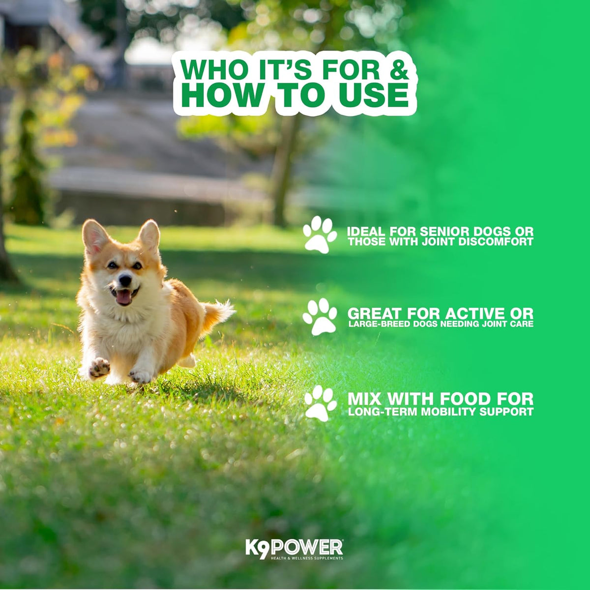 K9 Power Joint Strong Supplement 1 lb - Dog Joint Health & Mobility Support with Glucosamine