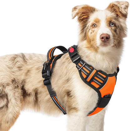 rabbitgoo Dog Harness Medium Sized, No Pull Pet Harness with 3 Buckles, Adjustable Soft Padded Vest