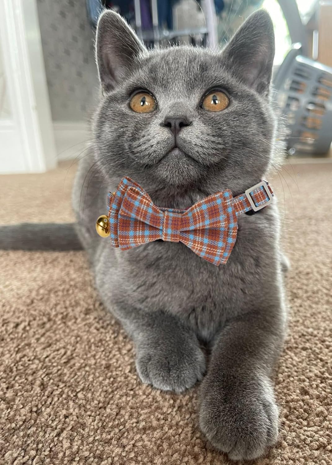 2 Pack Soft Cotton Cat Collars with Bowtie and Bell Breakaway Plaid Cat Kitten Collar(Beige and