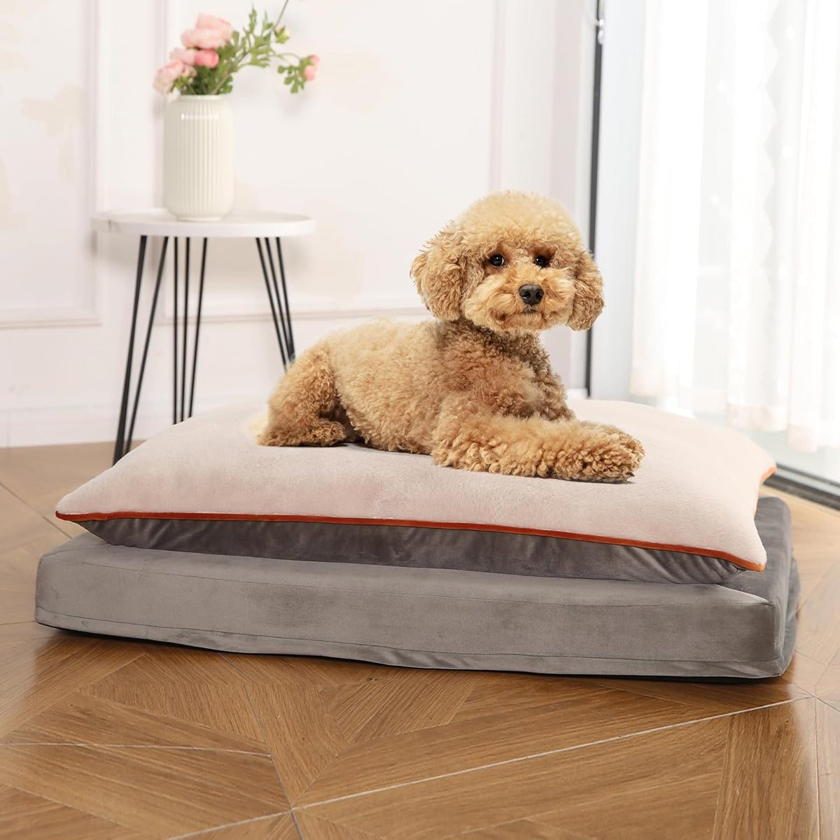 Amazon Basics Dog Bed with Cooling Gel Memory Foam, Pressure-Relief Support for Dogs up to 50lbs