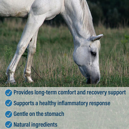 Absorbine Bute-Less Long-Term Horse Comfort & Recovery Supplement Paste, Gentle on Stomach, Devil’s