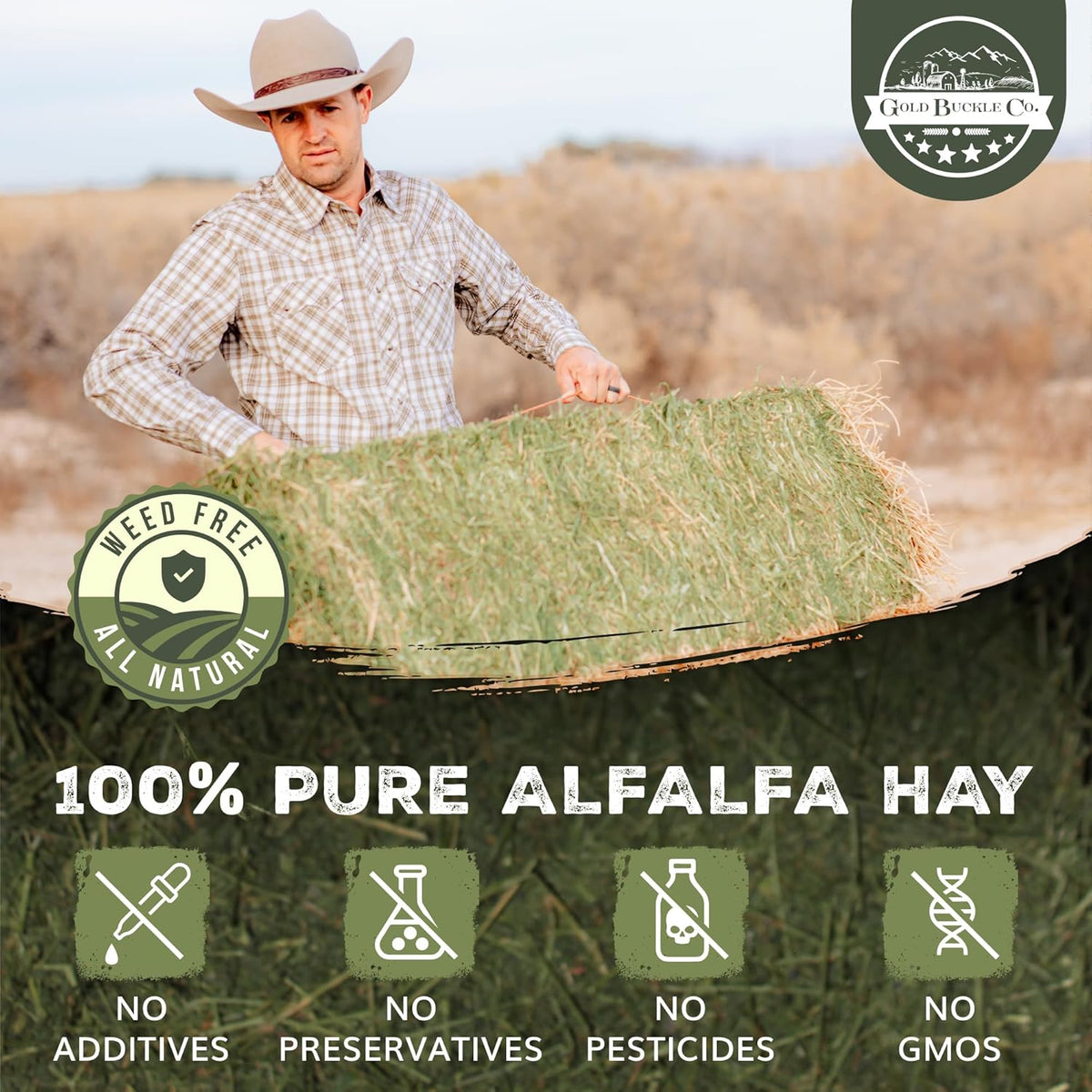 10lb Freshly Dried Organic Alfalfa Hay for Guinea Pigs, Rabbits, Chinchillas, Goats, Hamsters &