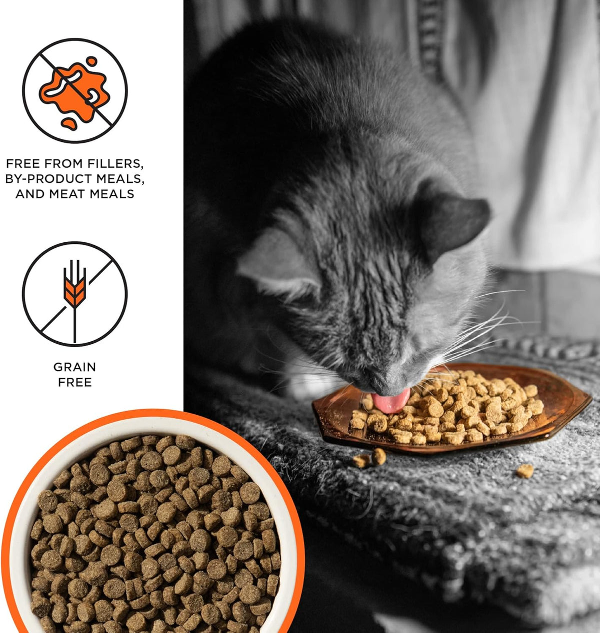 BIXBI Liberty Dry Food Chicken Recipe for Cats, 3lb
