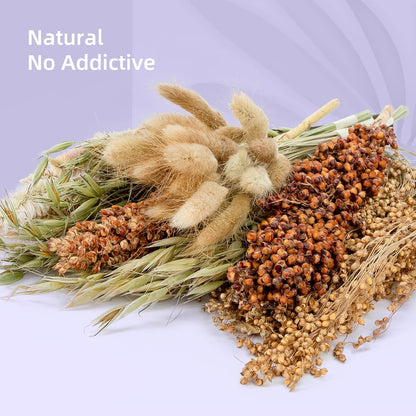 Niteangel Natural & Soft Hamster Bedding Mate Small Animal Habitat Decor for Syrian Dwarf Hamsters