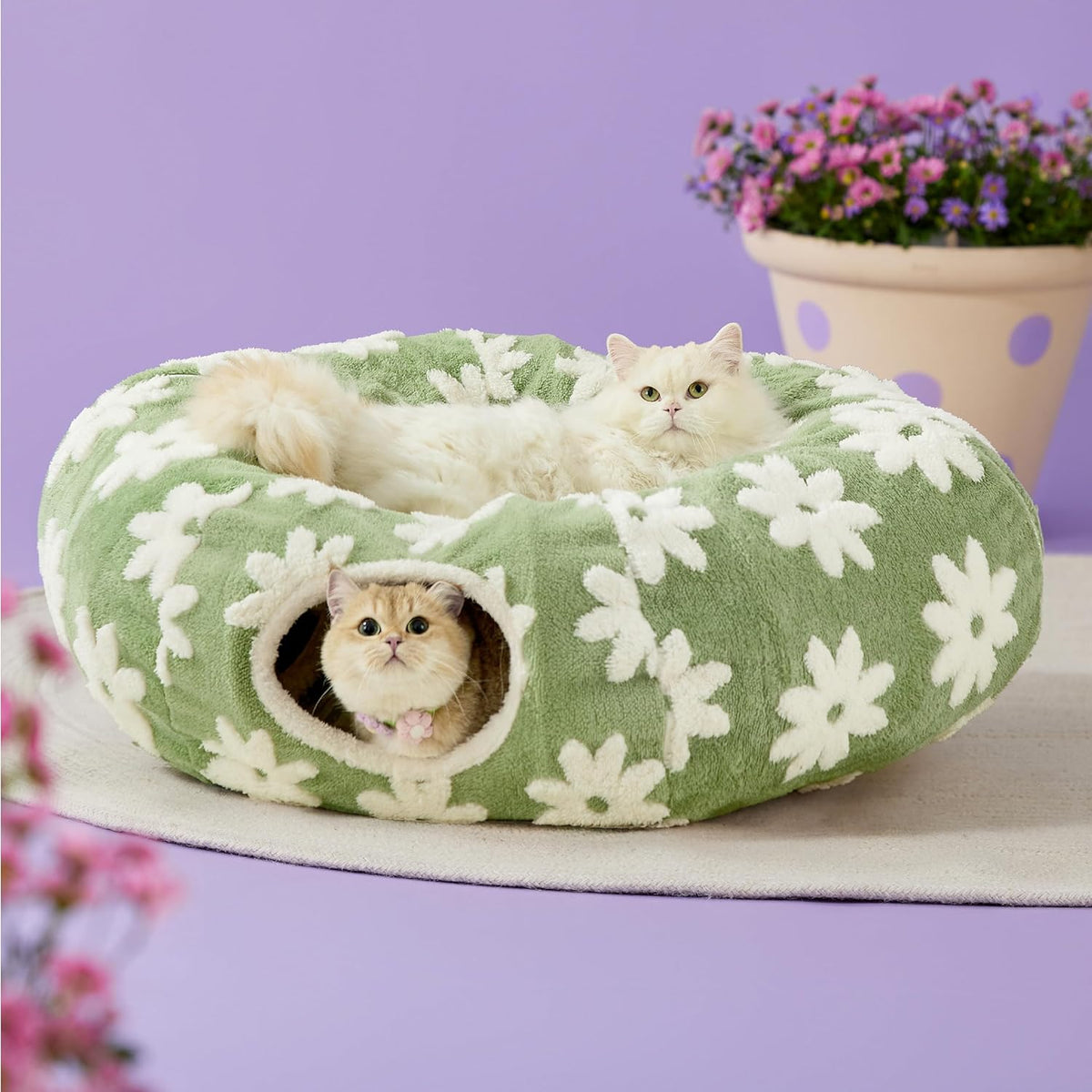Lesure Cat Tunnel Bed for Indoor Cats - Cute Cat Donut Tunnel Toys for Small Large Cats with