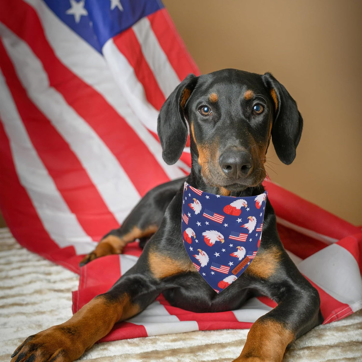 ADOGGYGO American Flag Dog Bandanas, Red Blue Patriotic Eagles USA Flag Scarf, Multi Size, 4th of
