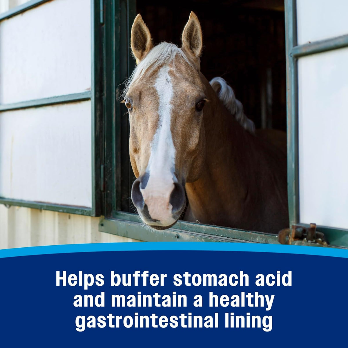 Farnam Gastric Health Pellets, Daily Gut and Digestive Health Supplement for Horses Helps Maintain