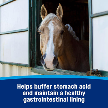 Farnam Gastric Health Pellets, Daily Gut and Digestive Health Supplement for Horses Helps Maintain