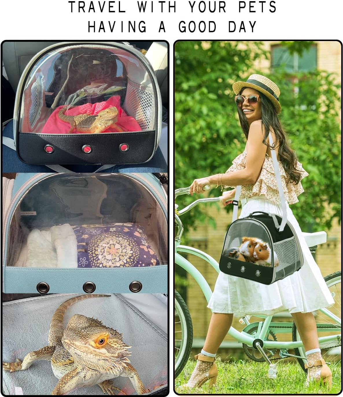 Bearded Dragon Travel Carrier,Lizards Carrier, Small Animal Travel Carrier for Sugar Glider