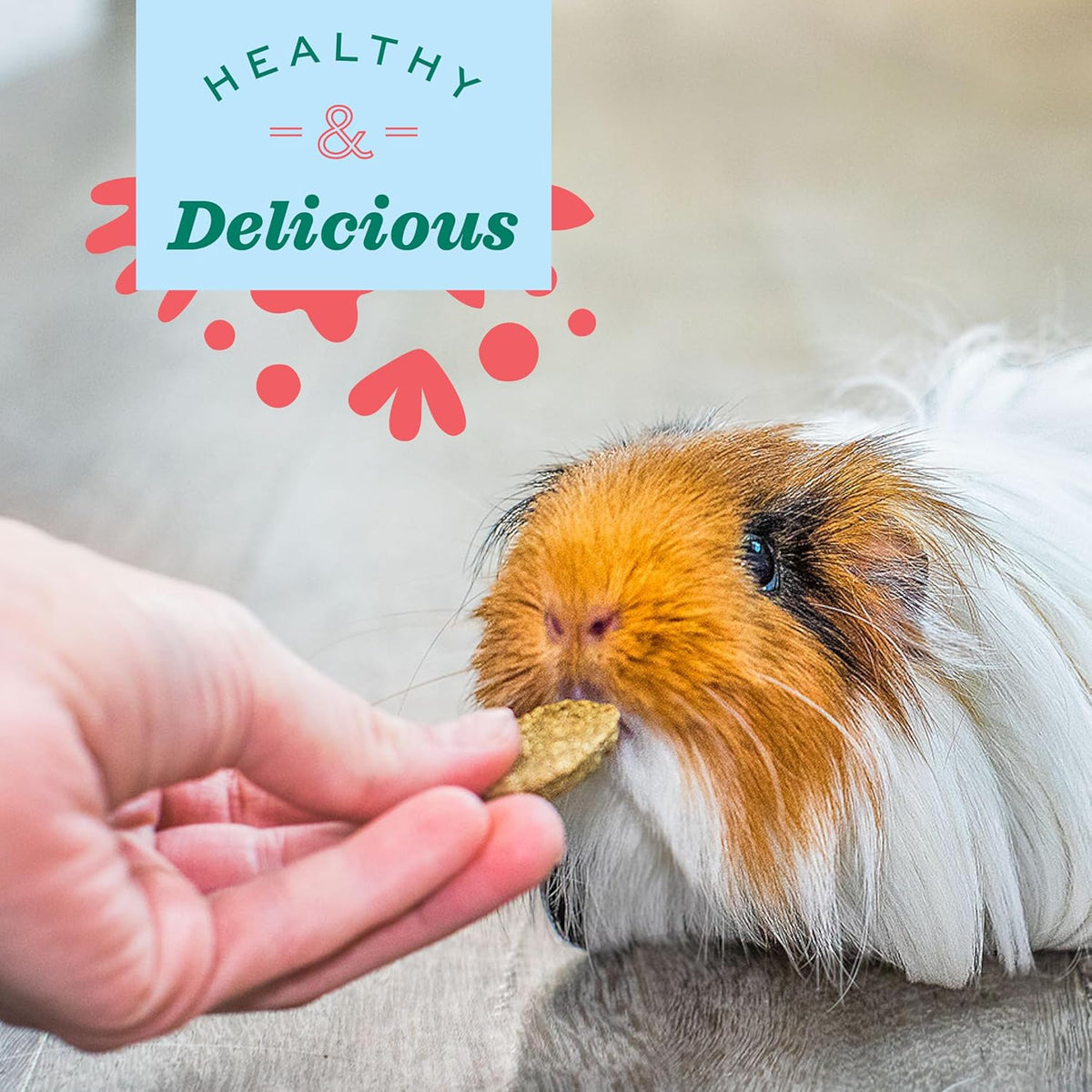 Oxbow Animal Health Natural Science Multi-Vitamin, High Fiber Supplement for Rabbit & Guinea Pig