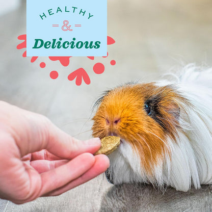 Oxbow Animal Health Natural Science Multi-Vitamin, High Fiber Supplement for Rabbit & Guinea Pig