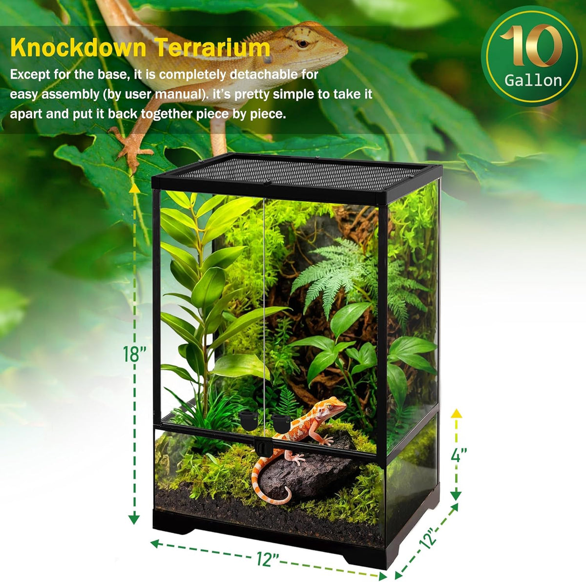 10 Gallon Professional Glass Terrarium 12"x12"x18" Durable Reptile Habitat Tank with Heat Resistant