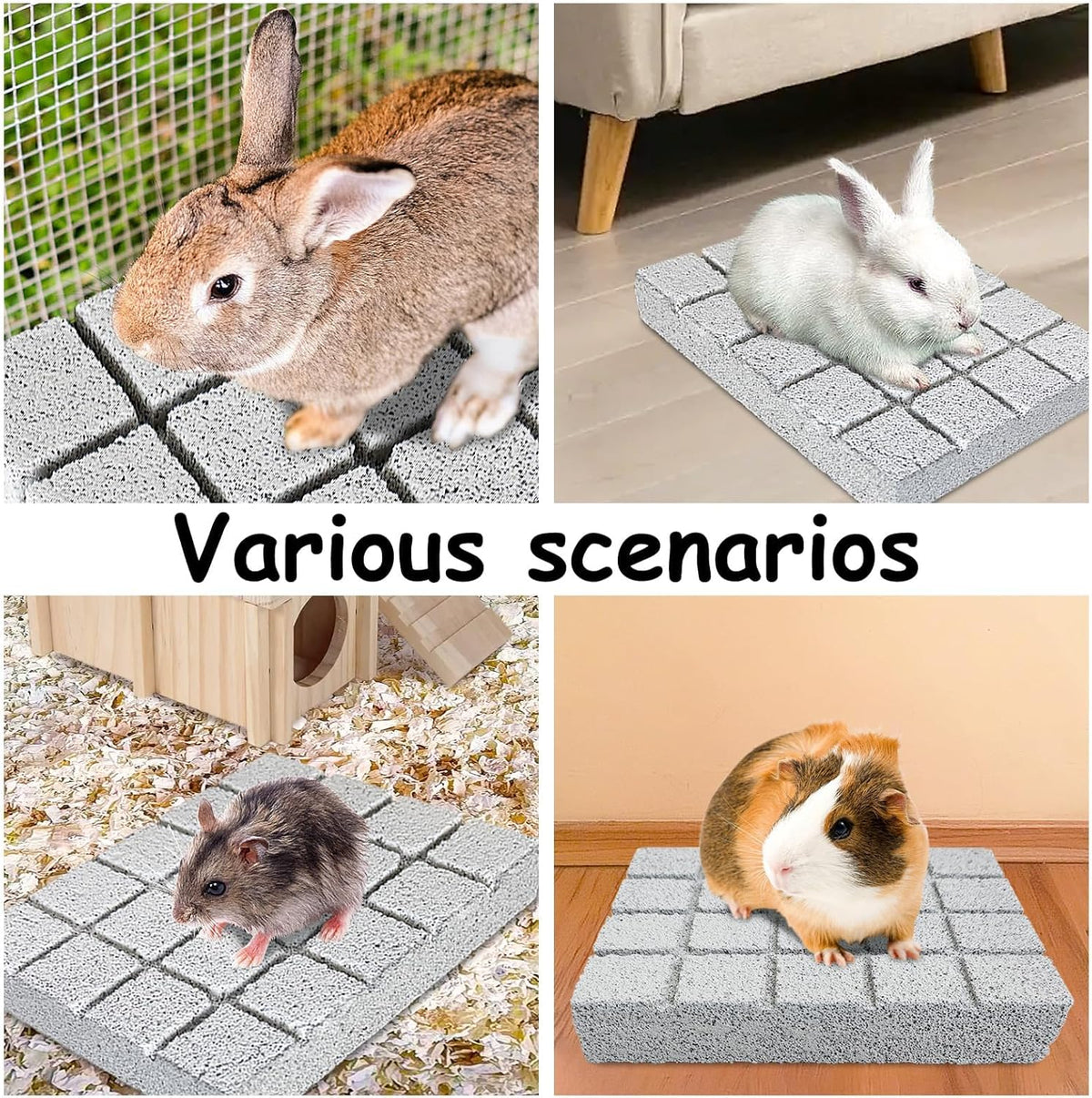 Hamiledyi 4PCS Rabbit Scratching Pads Bunny Lava Grinding Claw Pads Small Animal Foot Pads Hamster
