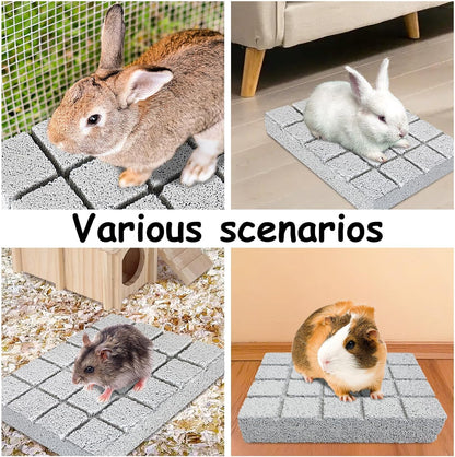 Hamiledyi 4PCS Rabbit Scratching Pads Bunny Lava Grinding Claw Pads Small Animal Foot Pads Hamster