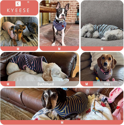 KYEESE 2Pack Dog Sweater Turtleneck Small Pets Sweaters Pullover Pet Sweatshirt Stretchy Dogs