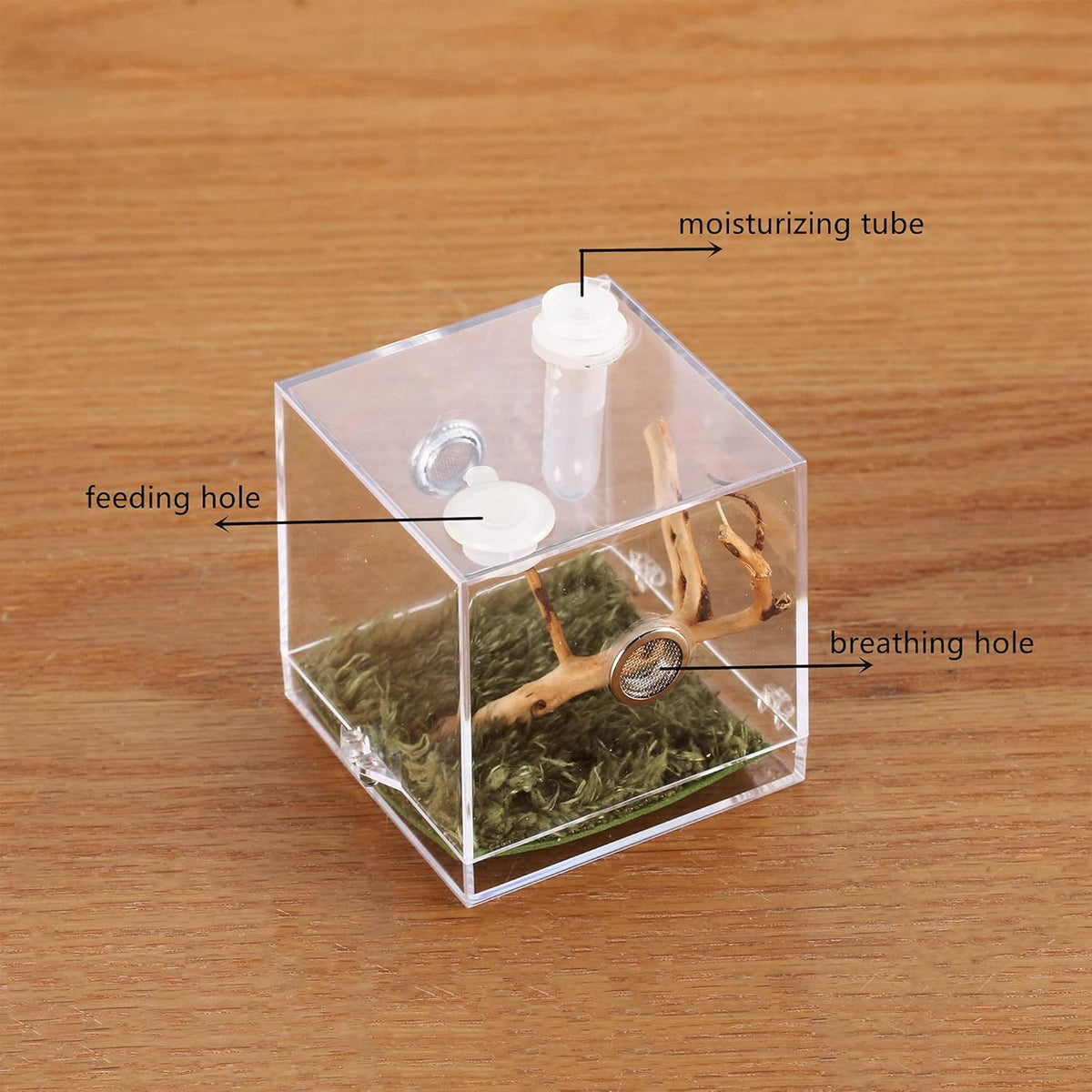 crapelles Jumping Spider Micro Middle Habitat, Small Pet Insect Breeding Box, 360 Degree