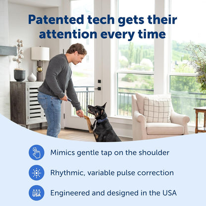 PetSafe Basic Dog Trainer with Remote – Waterproof Training Collar – 300 ft Range – Tone, Vibration