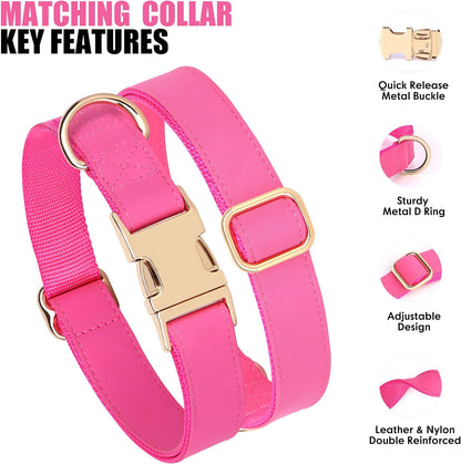 PET ARTIST Soft PU Leather Dog Collar, Bright & Stylish Hot Pink Dog Collar Girl with Quick Release