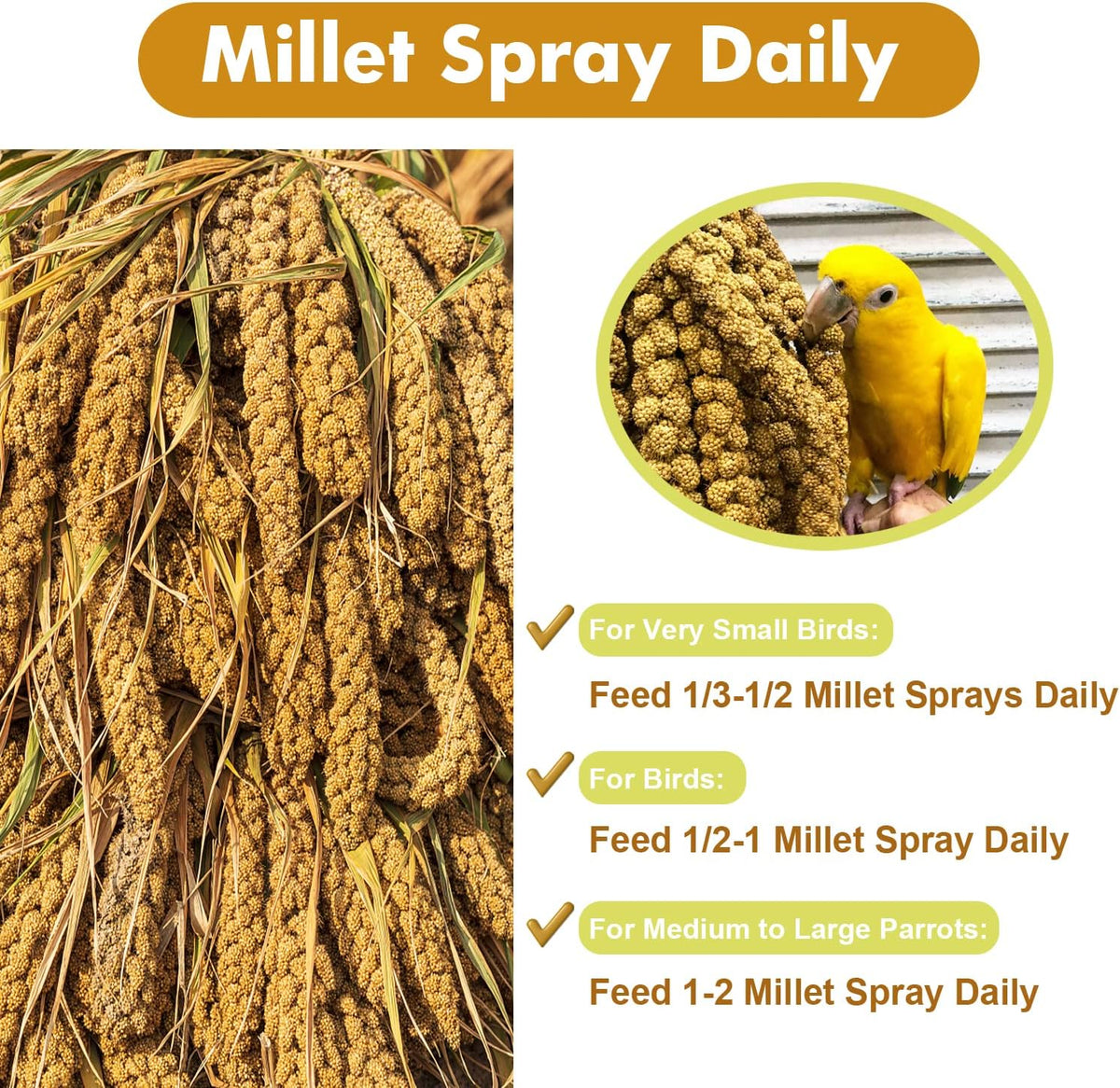 Jmxu's 1LB Spray Millet Treat for Birds Parakeets, Natural Sun-Dried Birds Millet for Cockatiel