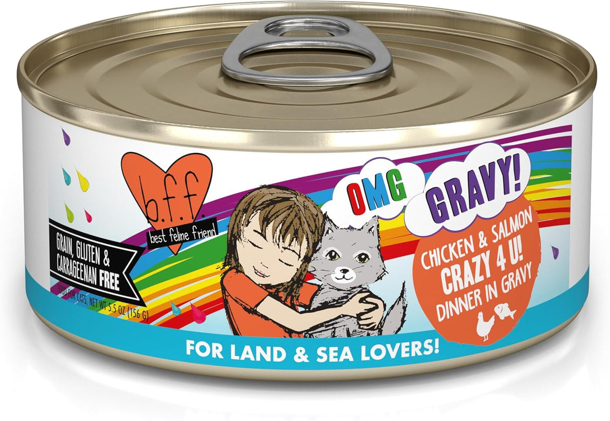 Weruva B.F.F. OMG - Best Feline Friend Oh My Gravy! Grain-Free Wet Cat Food Cans, Crazy 4 U!