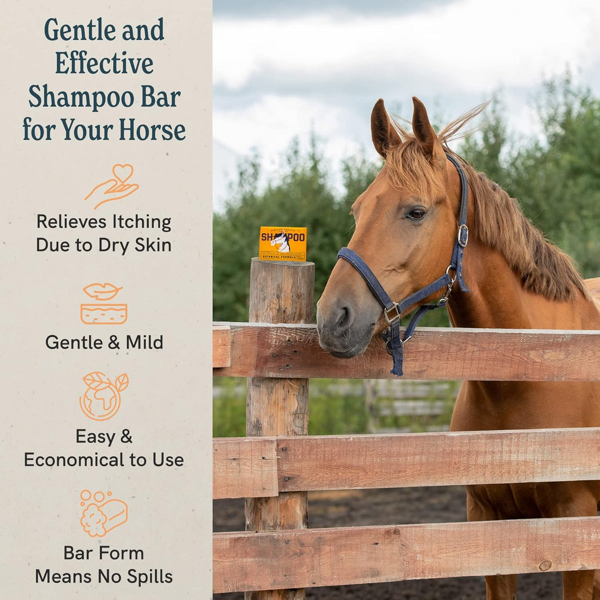 JR Liggett’s Botanical Horse Shampoo Bar for Sensitive Skin - 100% Detergent Free, Non-GMO &