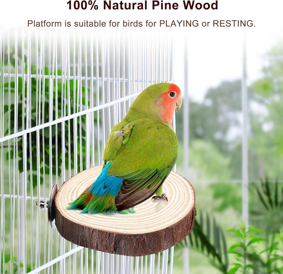 Mogoko 5PCS Bird Perch Natural Wood Grape Stick Stand, 3 Grape Stick Paw Grinding Fork Parakeet