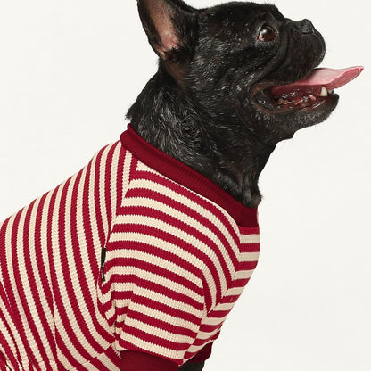 Fitwarm Red and White Striped Dog Pajamas, Waffle Dog Clothes for Small Dogs Girl Boy, Puppy Onesie