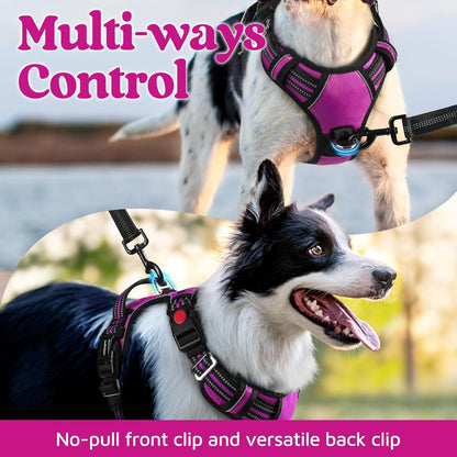 rabbitgoo Dog Harness for Large Dogs, No Pull Pet Vest with 3 Buckles, Adjustable Soft Padded Pet