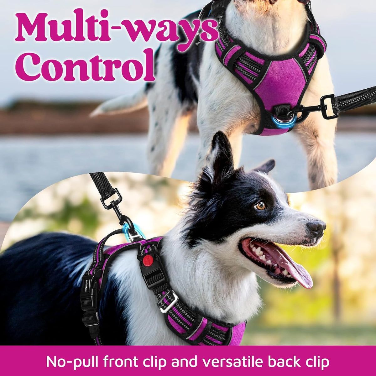 rabbitgoo Dog Harness Medium Sized, No Pull Dog Vest with 3 Buckles, Adjustable Soft Padded Pet
