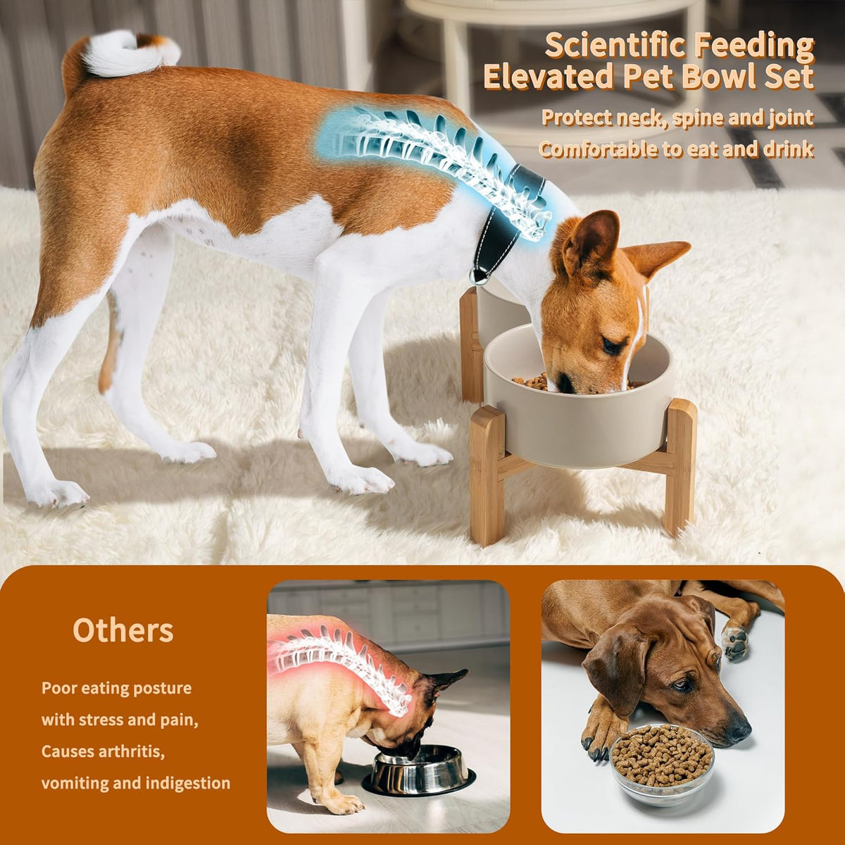 Elevated Ceramic Dog Bowl Set - Raised Dog Bowls with Non-Slip Bamboo Stand - Dog Food and Water